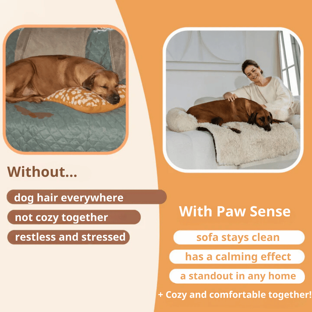 Original Paw Sense Bed