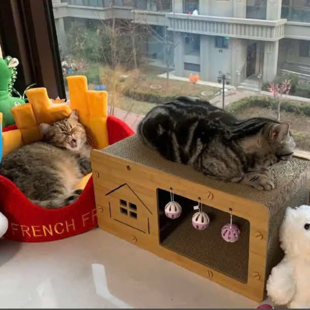 CatZen Scratch Lounge