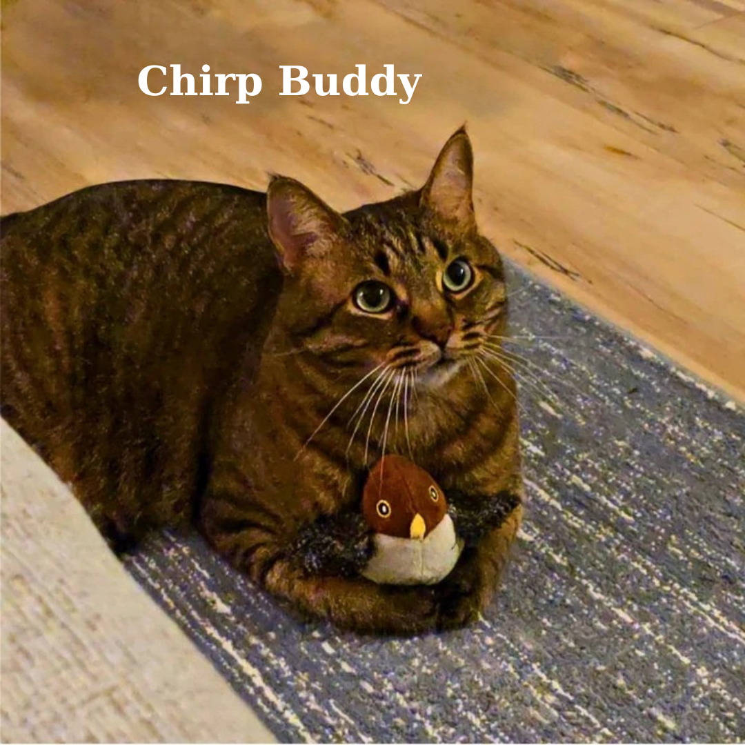 Chirp Buddy