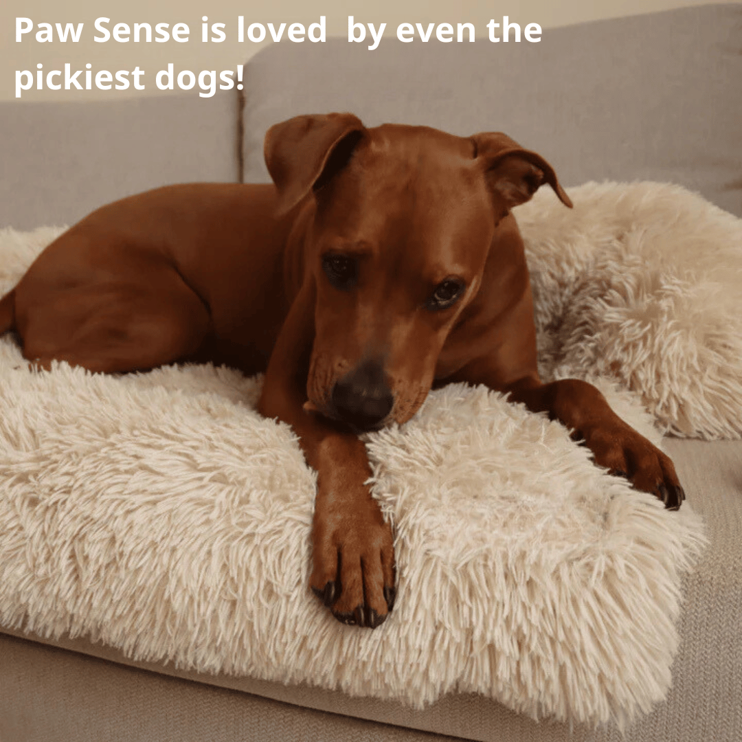 Original Paw Sense Bed