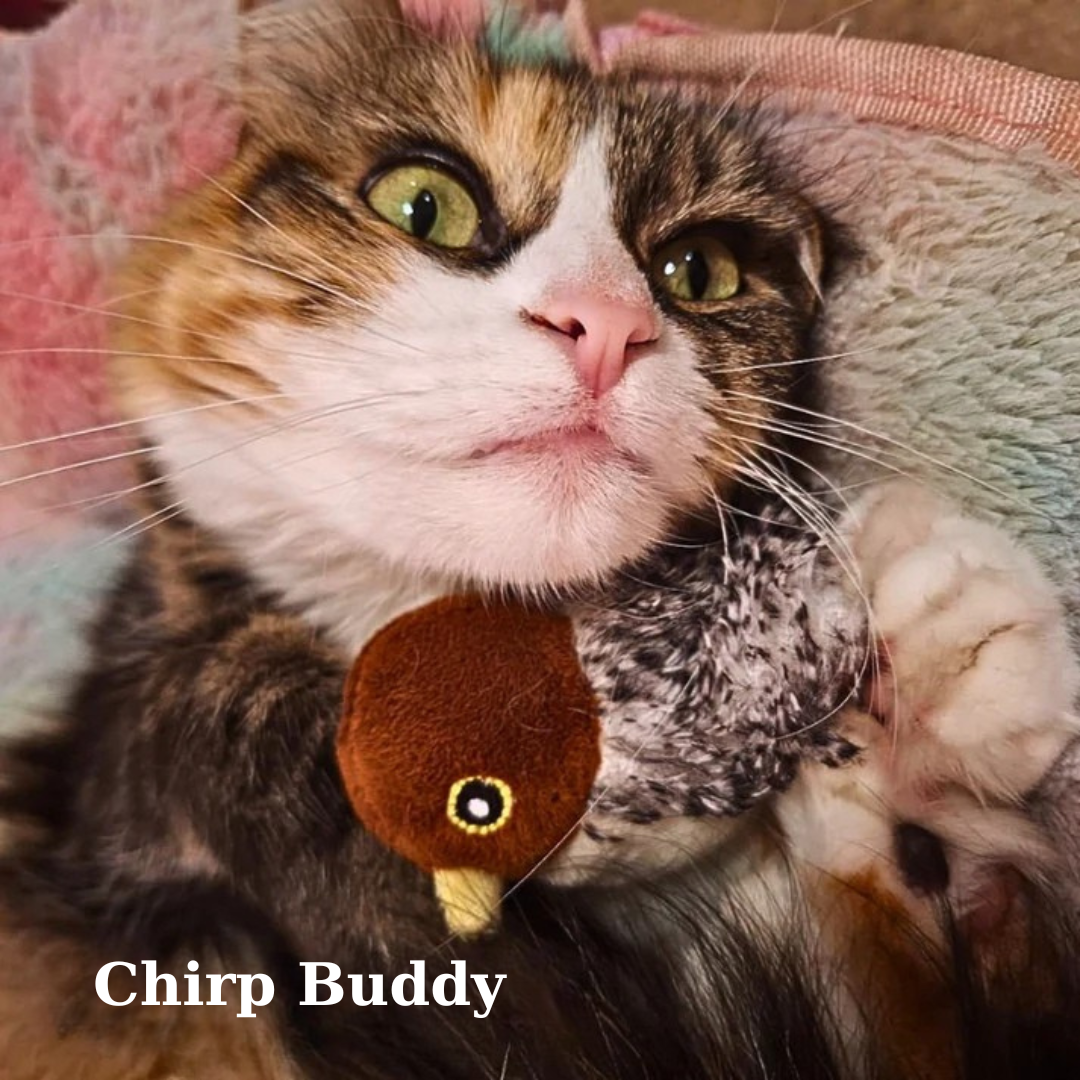 Chirp Buddy