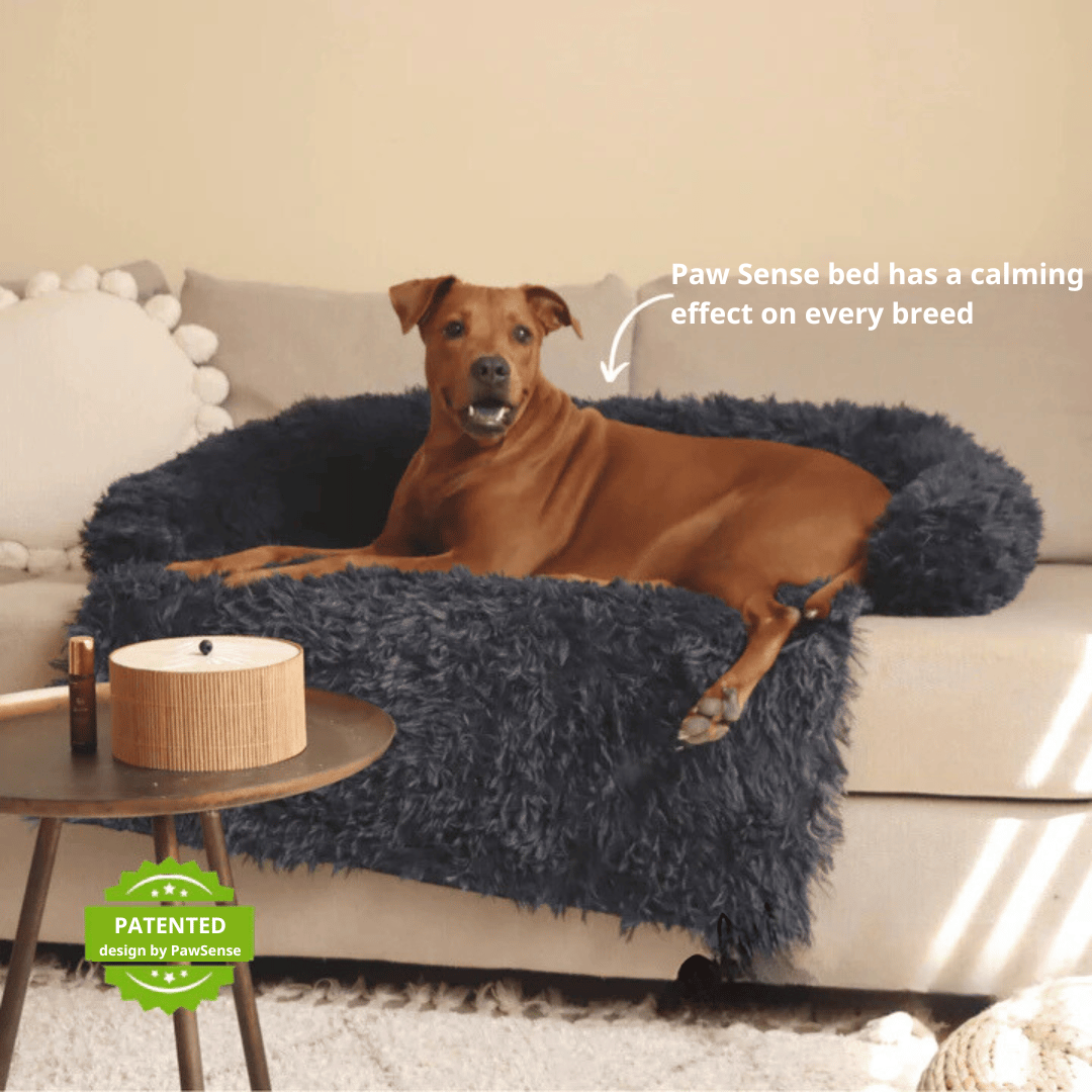 Original Paw Sense Bed