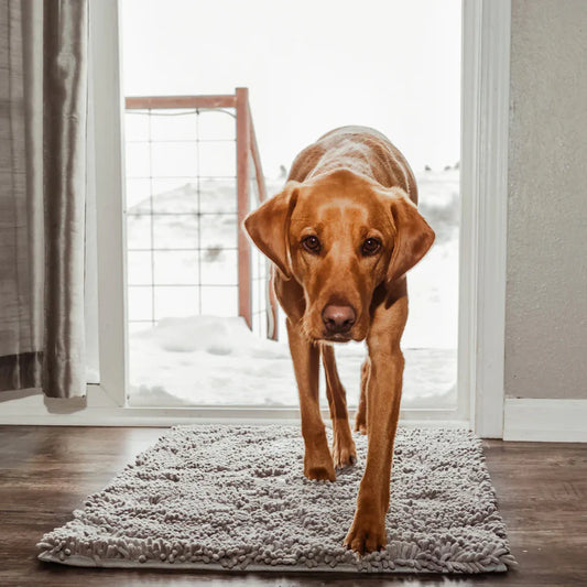 CleanPaw Mat