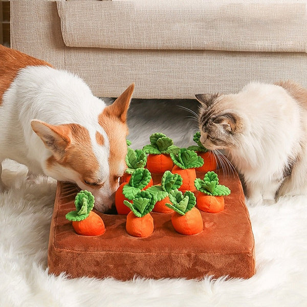 Sniff 'n' Play Carrot Mat