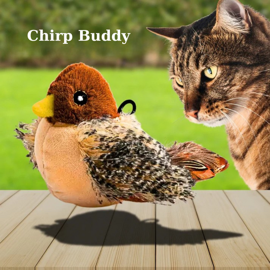 Chirp Buddy